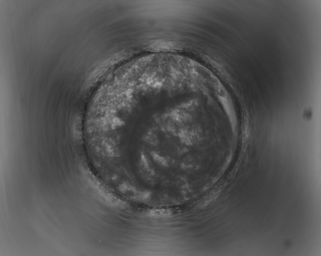 X0000116570353200912311958