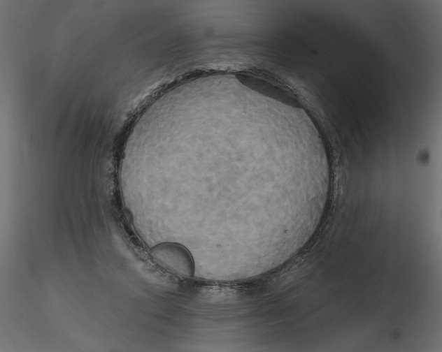 X0000116570354200912311958