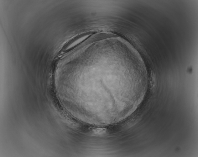 X0000116570355200912311958