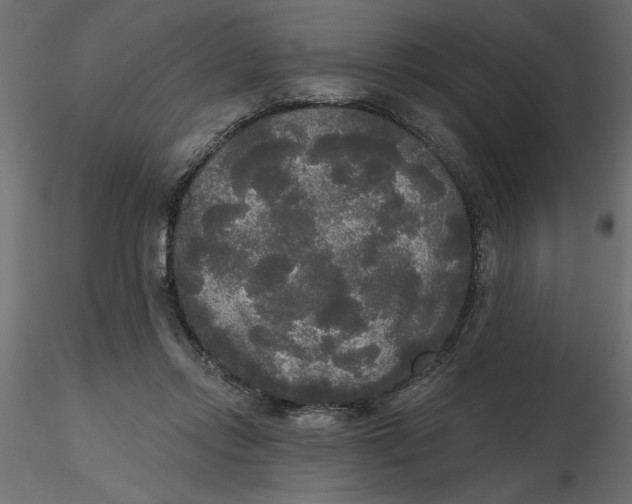 X0000116570358200912311958