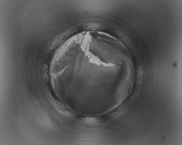 X0000116570361200912311958