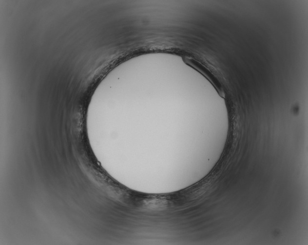 X0000116570362200912311958