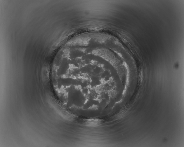 X0000116570363200912311958