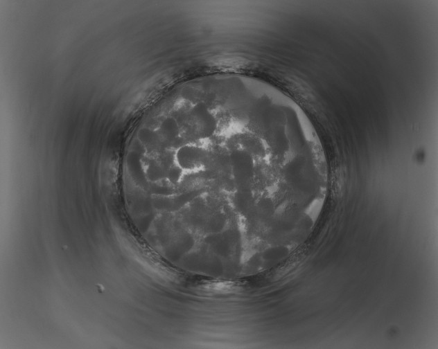 X0000116570365200912311958