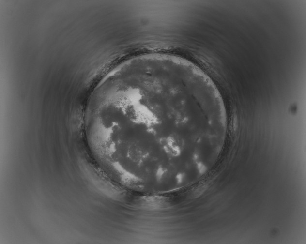 X0000116570367200912311958