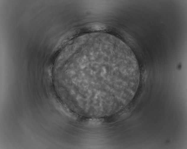 X0000116570373200912311958