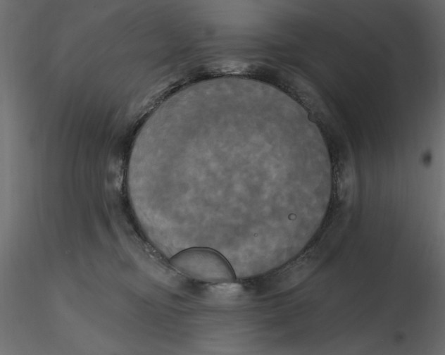 X0000116570374200912311958