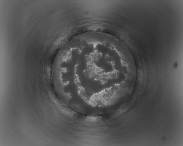 X0000116570375200912311958