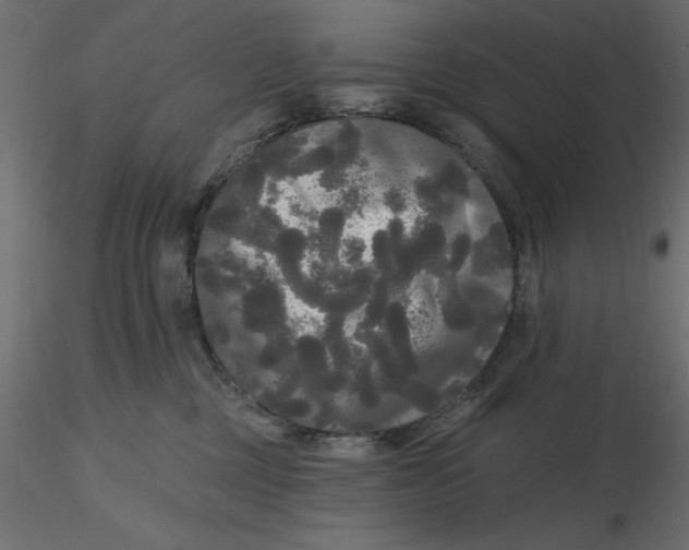 X0000116570377200912311958