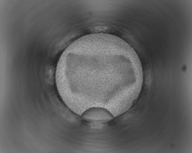 X0000116570378200912311958