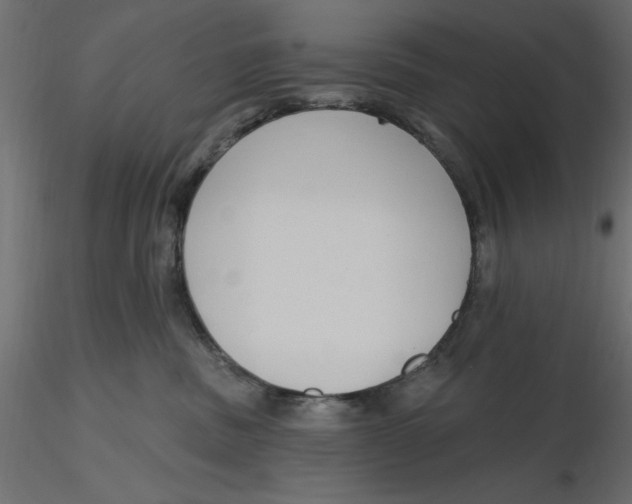 X0000116570379200912311958