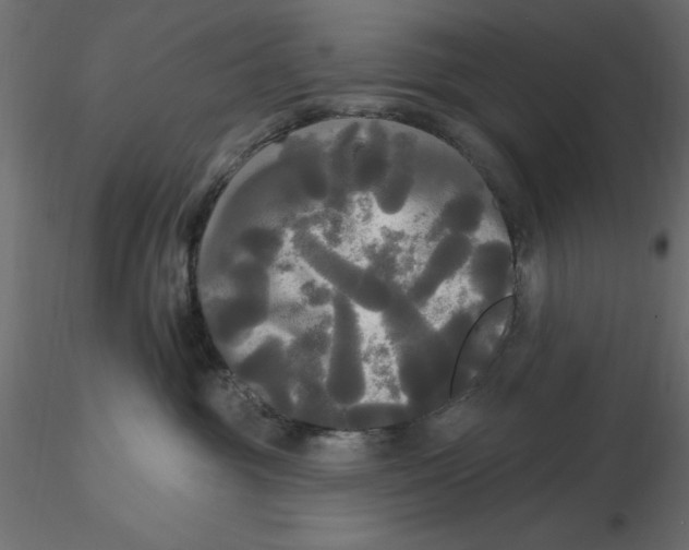 X0000116570381200912311958