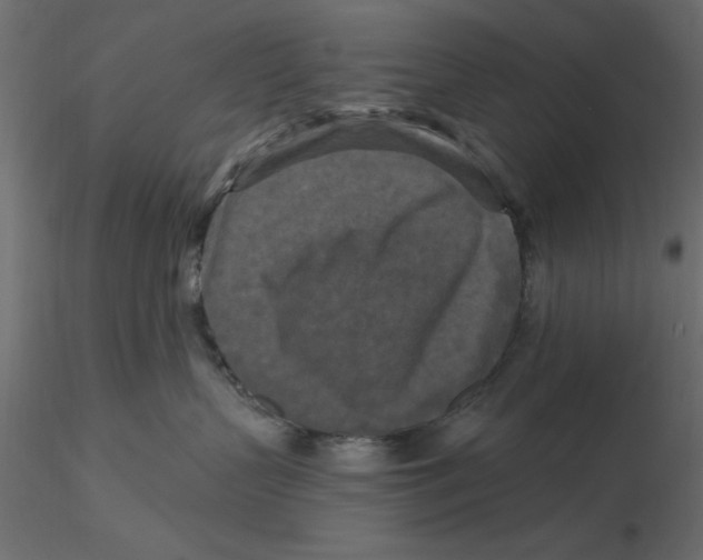 X0000116570383200912311958