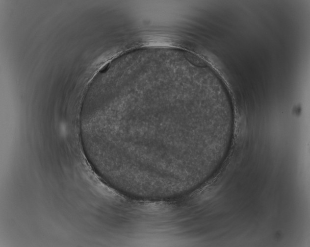 X0000116570385200912311958