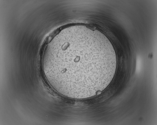 X0000116570388200912311958