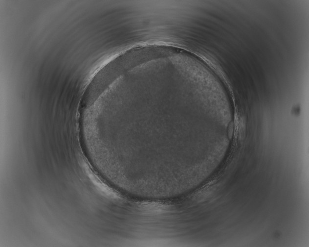 X0000116570389200912311958