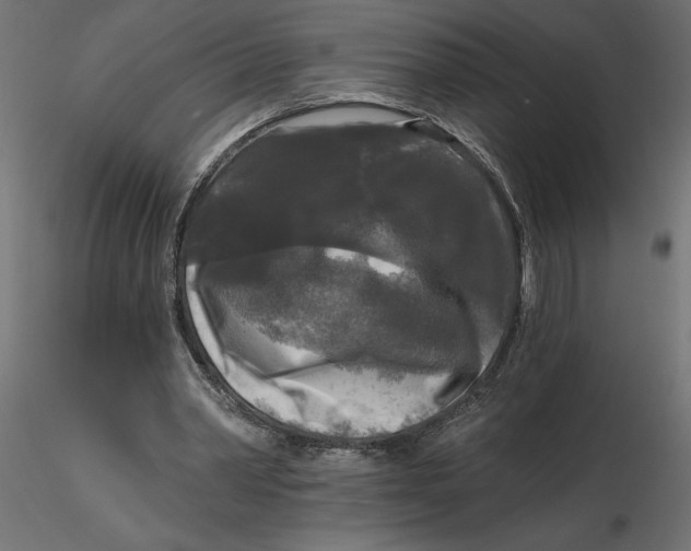 X0000116570390200912311958