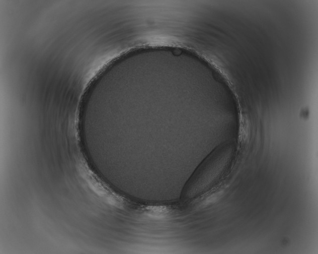 X0000116570391200912311958