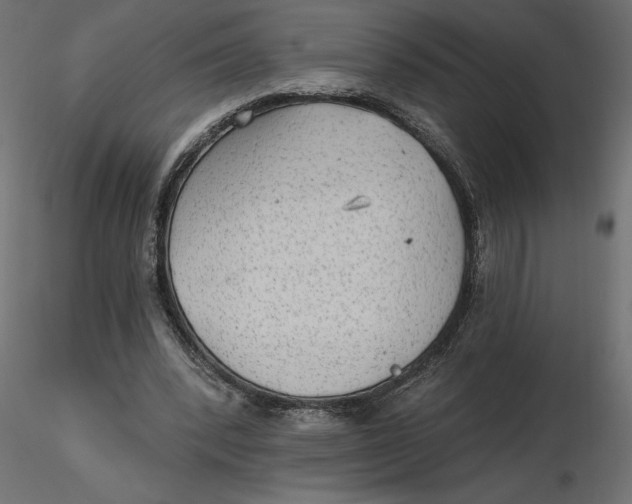 X0000116570392200912311958