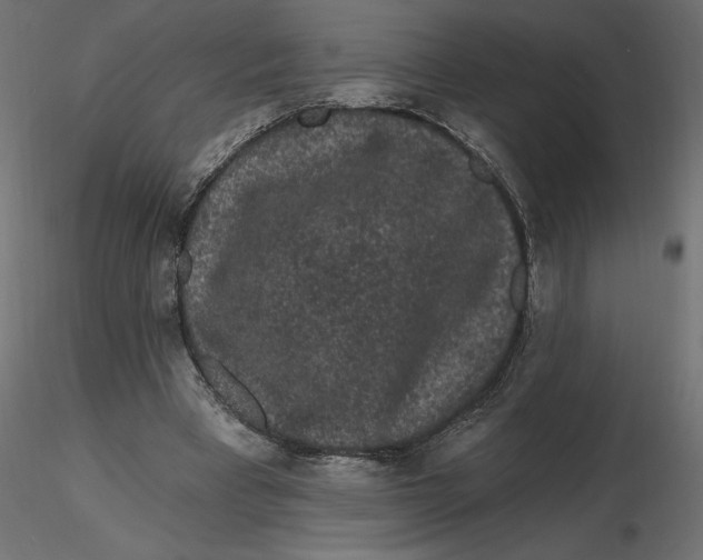 X0000116570393200912311958