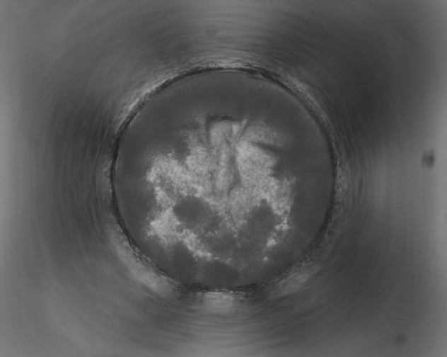 X0000116570394200912311958