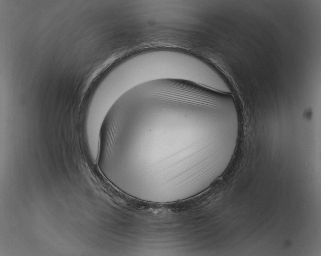 X0000116570395200912311958