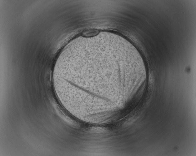 X0000116570397200912311958