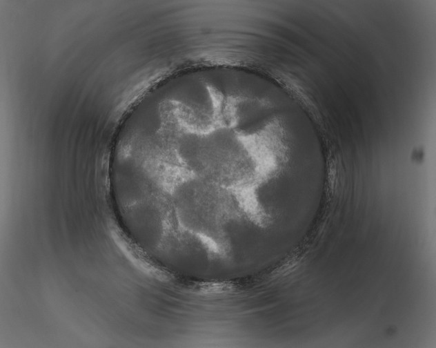 X0000116570398200912311958