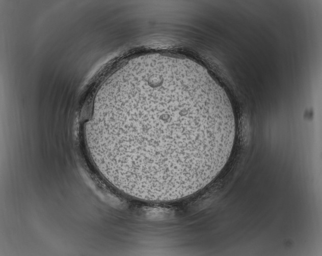 X0000116570400200912311958