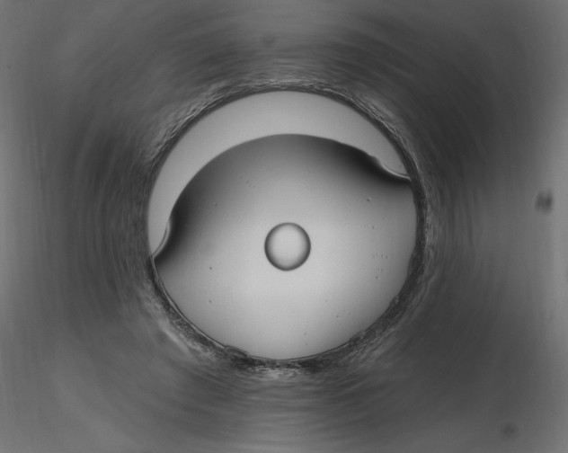 X0000116570401200912311958