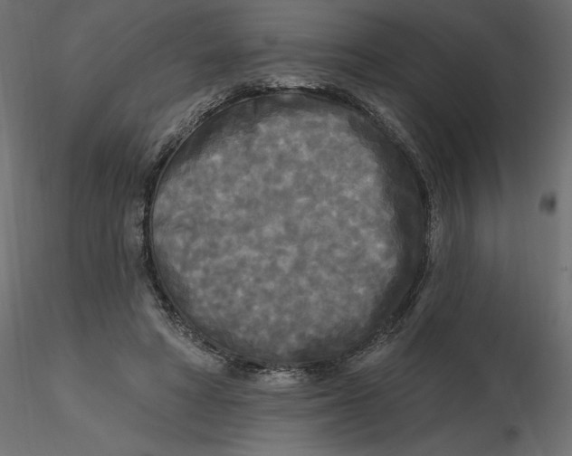 X0000116570402200912311958