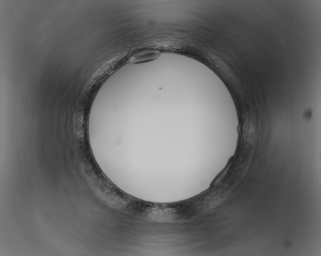 X0000116570403200912311958