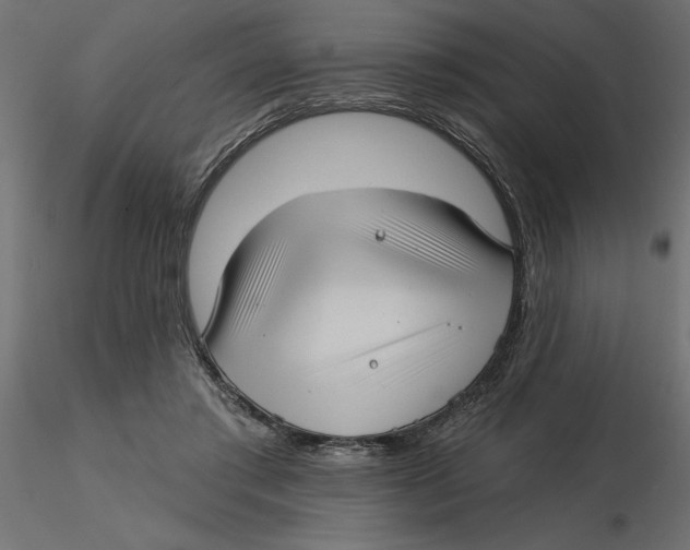 X0000116570405200912311957