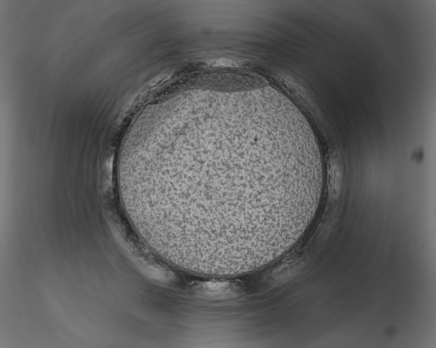 X0000116570406200912311957