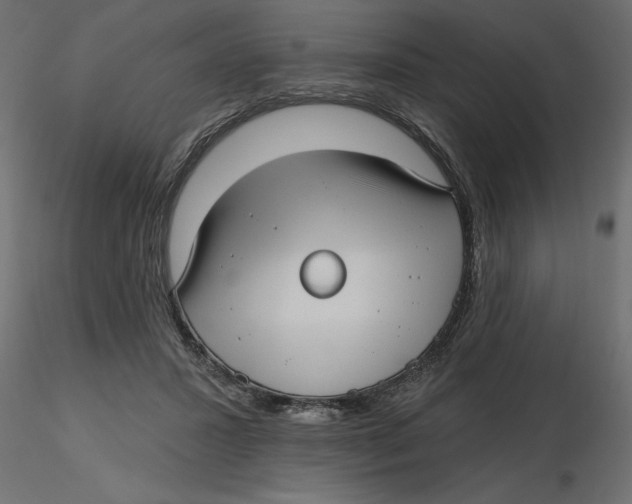 X0000116570407200912311957