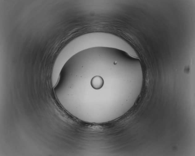 X0000116570409200912311957