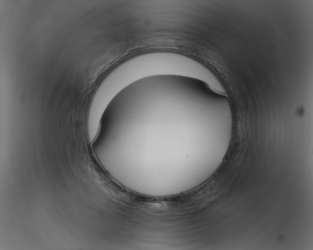 X0000116570411200912311957