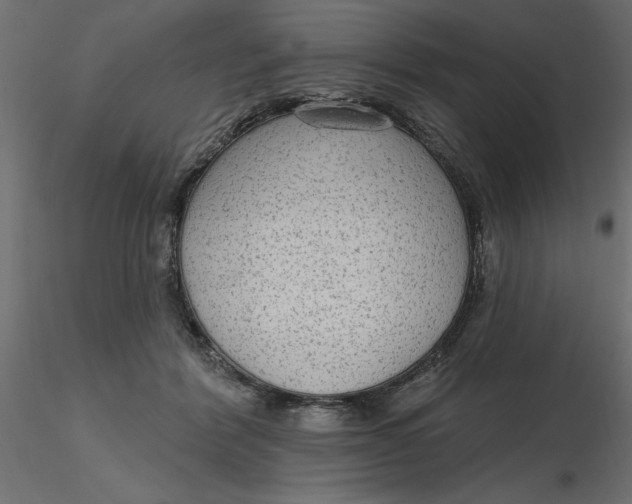 X0000116570412200912311957