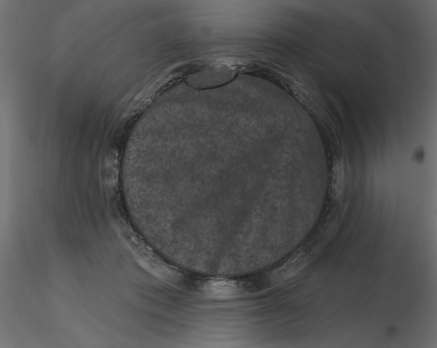 X0000116570413200912311957