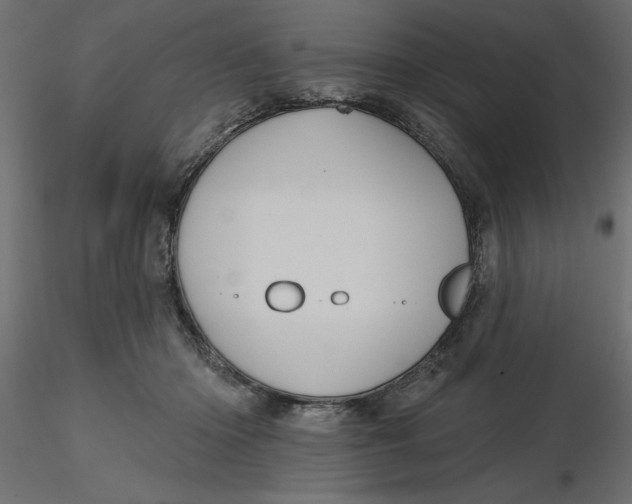 X0000116570414200912311957