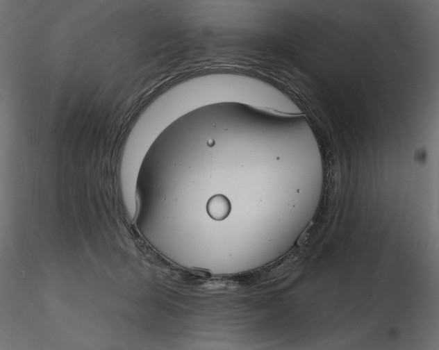 X0000116570415200912311957