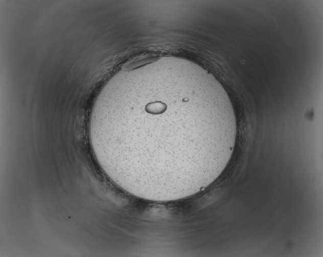 X0000116570416200912311957