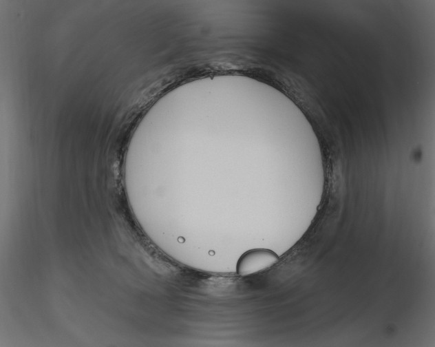 X0000116570418200912311957