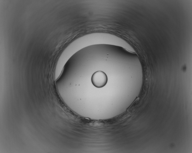 X0000116570419200912311957