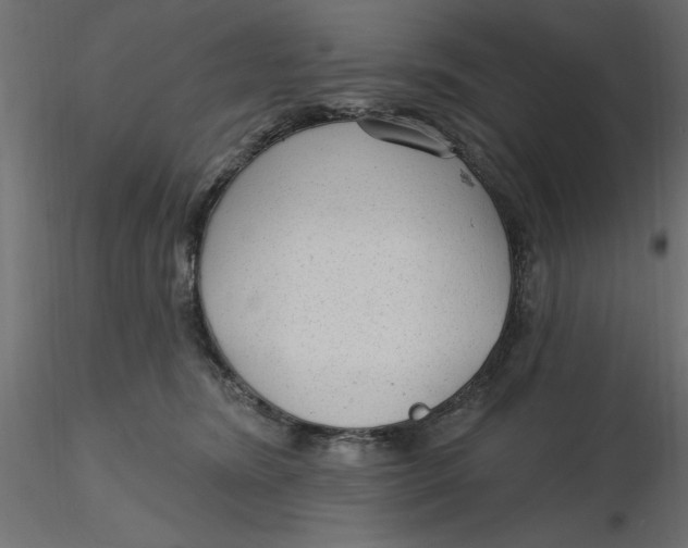 X0000116570420200912311957