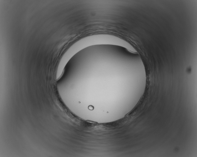 X0000116570423200912311957