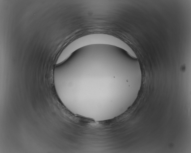 X0000116570425200912311957