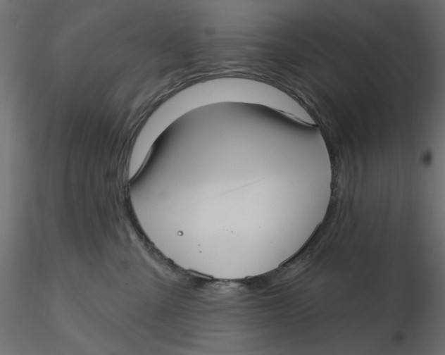 X0000116570427200912311957