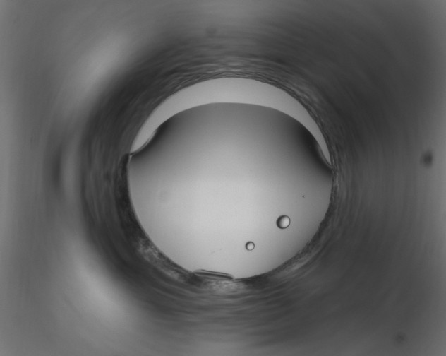 X0000116570429200912311957