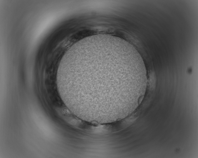 X0000116570430200912311957